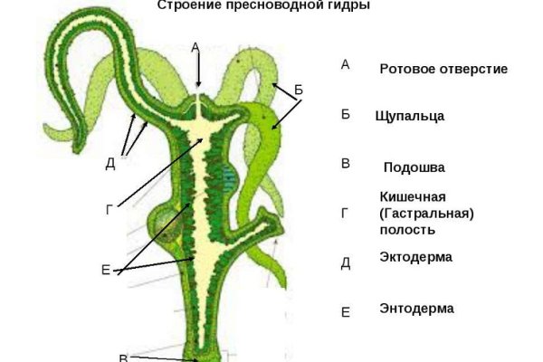 Kraken торговая площадка ссылка